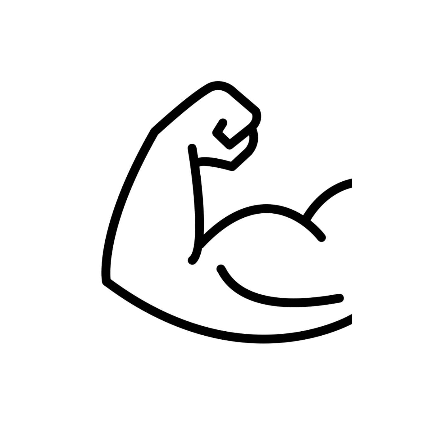 Renforcement musculaire